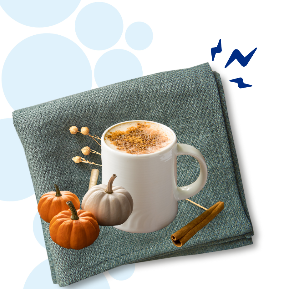 Recept Keto Pumpkin Spice Latte